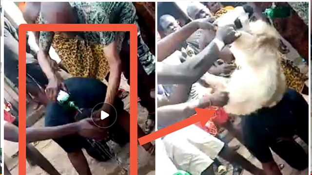 Gay Man Caught By Nkoranza Chiefs, Asked To Bring 24 Sheep, Schnapps To Pacify Gods 2 Gay