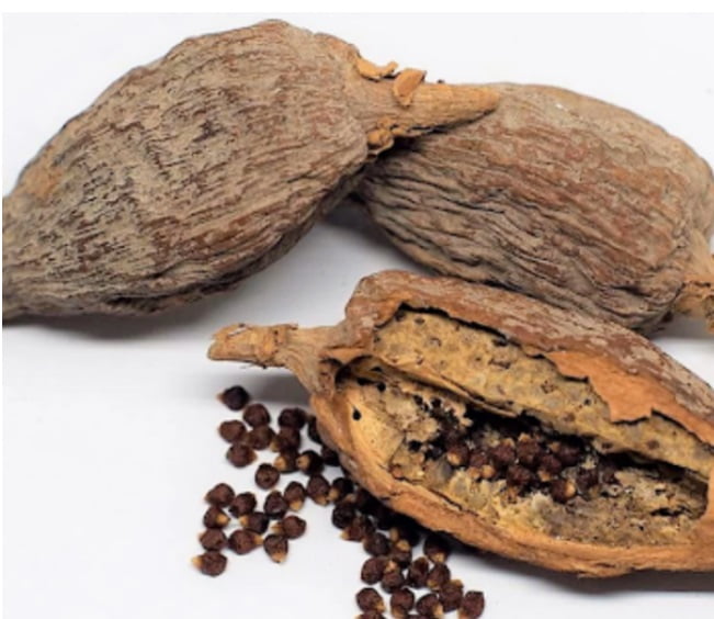 These Foods Can Boost Men’s Performance During Intimacy 12 Buy an alligator pepper.