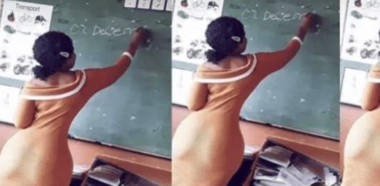 Teacher