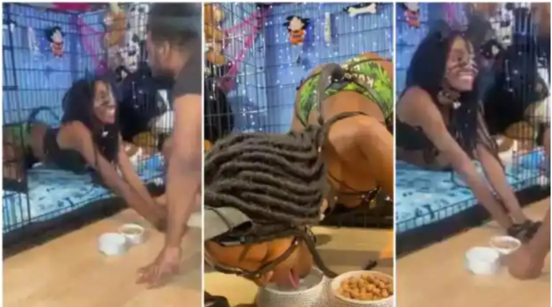 Video Of A Lady Serving As Rich Man’s Dog Causes Stir Online 2 lady
