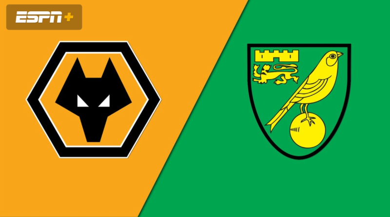 Wolverhampton Wanderers European hopes end after 1:1 draw with Norwich City 2 FotoJet 86