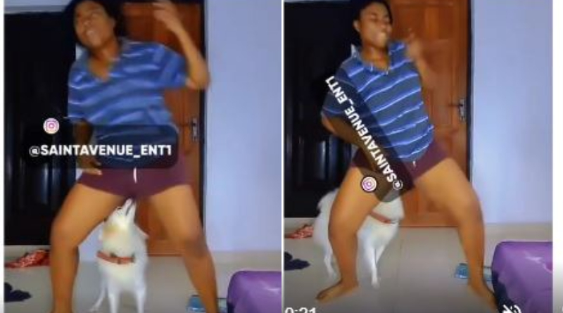 See what Is Making This Dog Trend (FULL VIDEO) 2 Dog