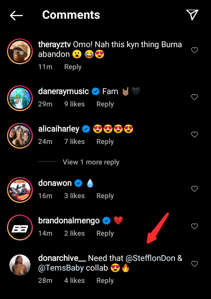 Reactions As Burna Boy's Ex, Stefflon Don Vibes To Tem's Music (Video) 3 Stefflon Don