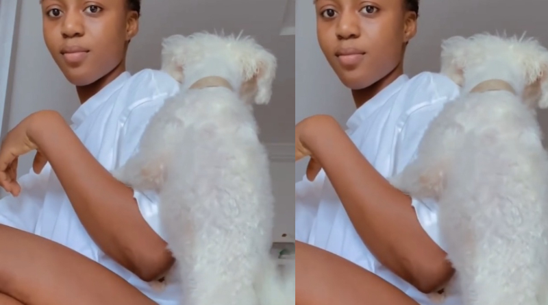 Reactions As A Lady Was Caught Doing This With A Dog In Her Room 2 Dog