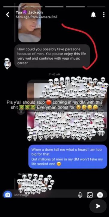 Yaa Jackson Reacts To Drinking Parazone Because Of A Man 3 Yaa Jackson denies drinking parazone because of a man