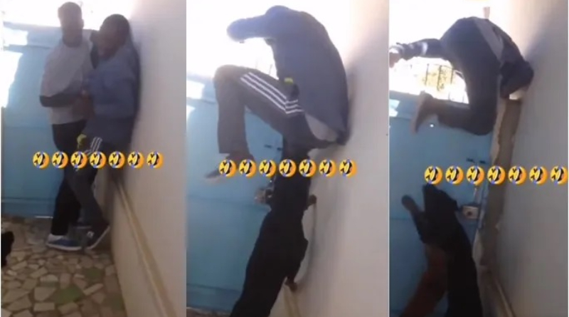 VIDEO: A Young Boy speedily jumps over a friend’s gate as guard dog tries to welcome him 2 A Young Boy speedily jumps over a friend’s gate as guard dog tries to welcome him