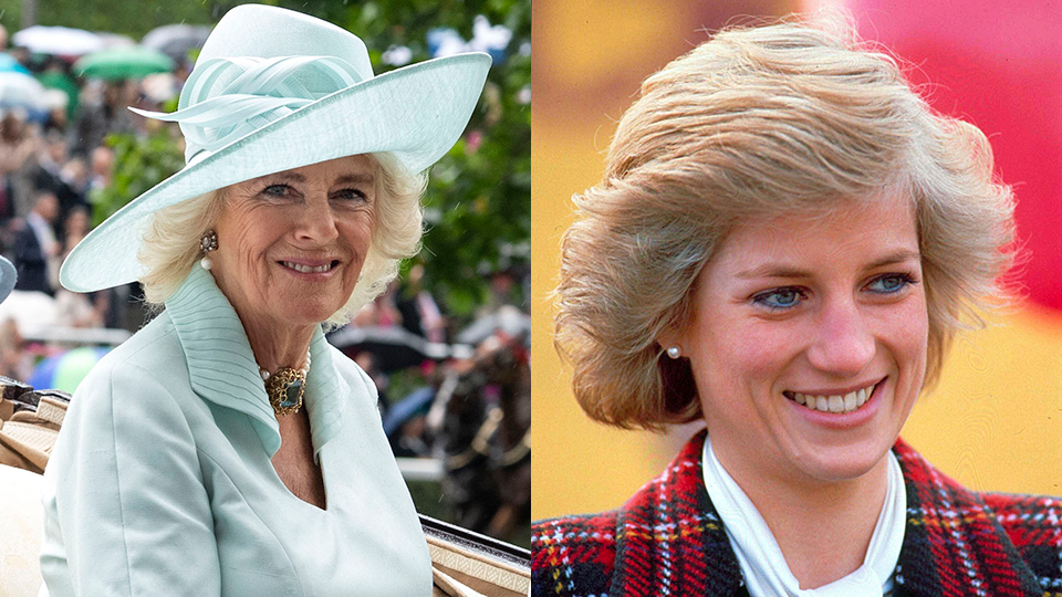 Did Camilla and Princess Diana ever have lunch?