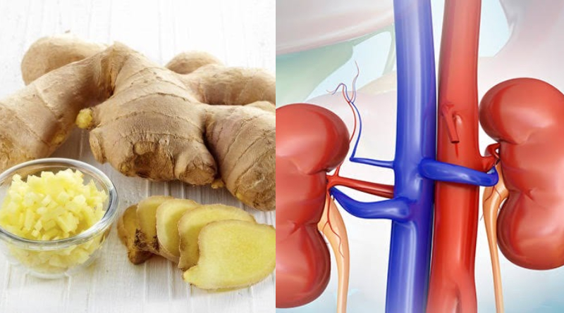Effects Of Ginger On Your Kidneys