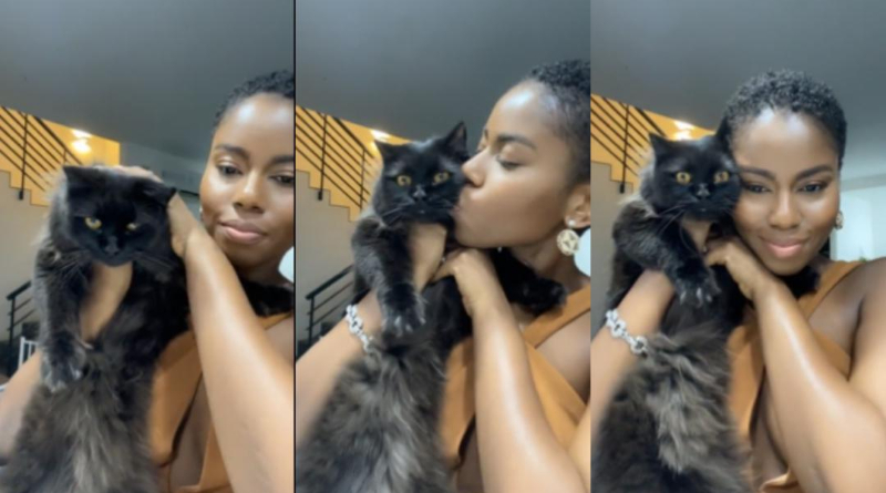 Fear Men And Buy A Cat – MzVee