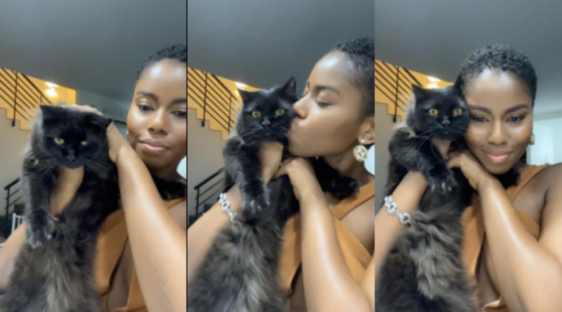Fear Men And Buy A Cat – MzVee Advises Women 2 Fear Men And Buy A Cat – MzVee