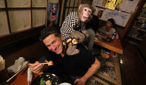 Monkeys Are Used As Waiters
