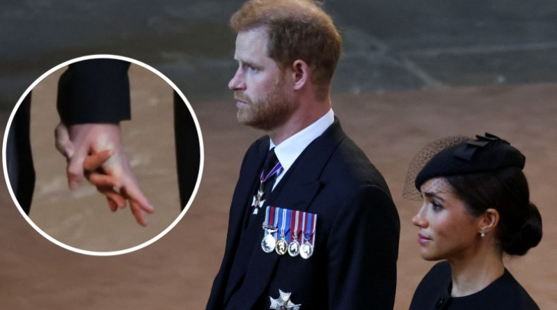 Reactions As Meghan and Prince Harry Holding Hands at Queen's Vigil 2 Meghan and Prince Harry Holding Hands at Queen's Vigil