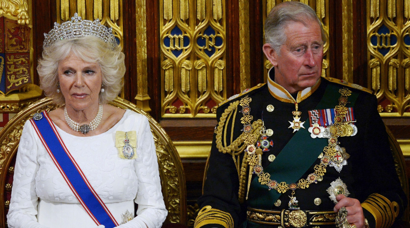 What Exactly Is A Queen Consort? Why Is There Controversy Over This Title? 2 What Exactly Is A Queen Consort? Why Is There Controversy Over This Title?
