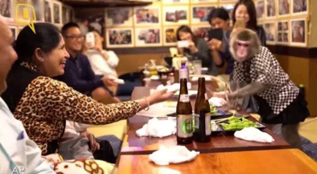 Japanese Restaurant Where Monkeys Are Used As Waiters (Photos) 4 Monkeys Are Used As Waiters