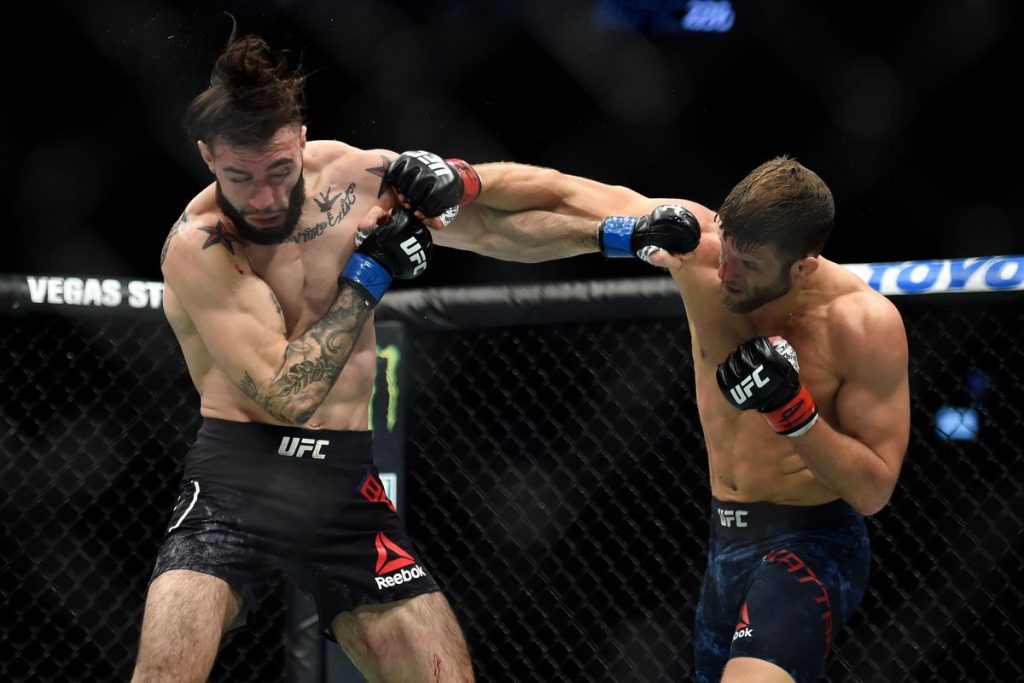 Calvin Kattar Wife and Family and Know About His Net Worth 2 Calvin Kattar Wife and Family