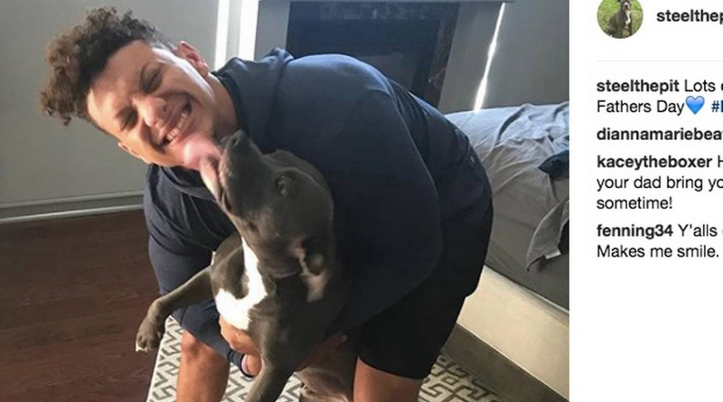 What kind of dogs does Patrick Mahomes have?