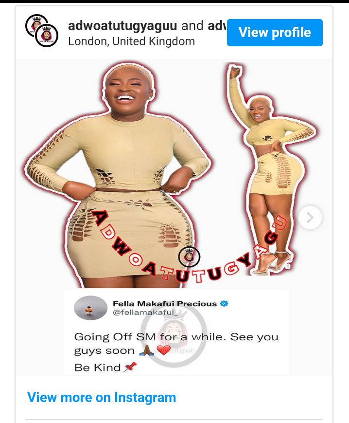 You'll Still Be Arrested - Fella Makafui Under Backlash For Leaving Social Media Amidst Fraud Rumours 3 Screenshot 20221114 102151