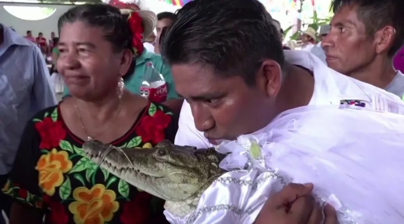 Mexican Mayor Gets Married To A Crocodile 2 Mexican Mayor Gets Married To A Crocodile