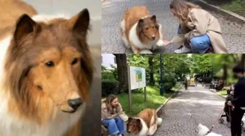 Man spends $20,000 to transform himself into a dog (Video)
