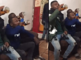 Thieves forced to drink crates of alcohol they stole