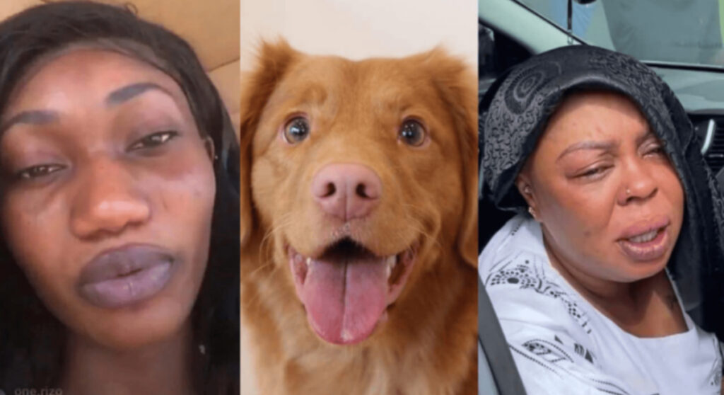 Wendy Shay dirties Afia Schwar after red carpet insults (Video) 2 Wendy Shay