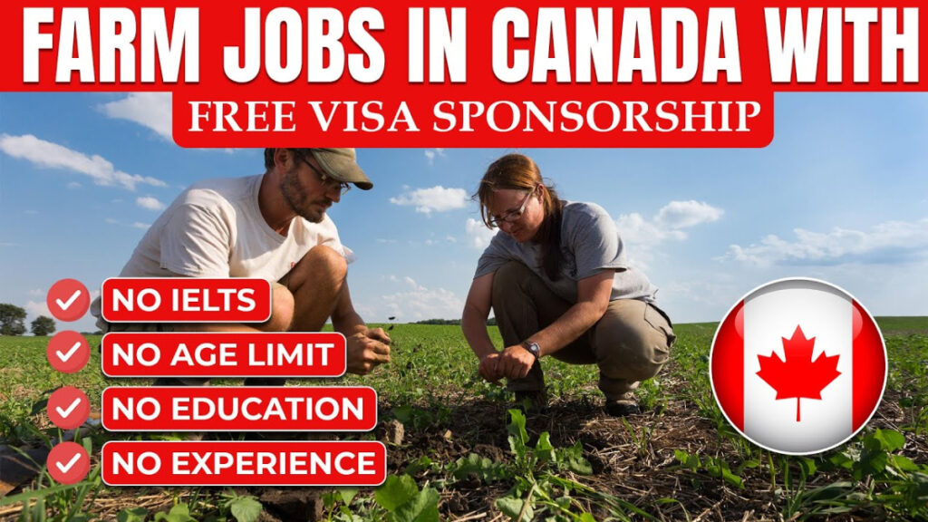 Farm Worker Jobs In Canada with Visa Sponsorship 1 Farm Worker Jobs In Canada with Visa Sponsorship