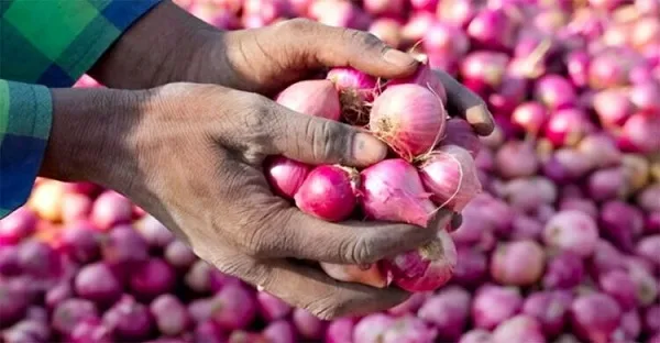 Makola Onion Seller Sues Telecel for GH¢2M Over Billboard Photo Without Permission 2 Makola Onion Seller Sues Telecel for GH¢2M Over Billboard Photo Without Permission